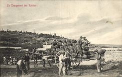 CPA Folklore Vin Vendanges Le chargement des raisins