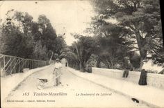 CPA Folklore Brouette Toulon Mourillon Le boulevard du littoral