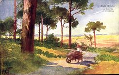 CPA Brouette La Pineta di Ravenna 