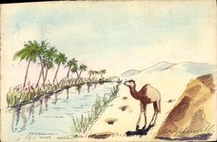 CPA Fantaisie (dessin a la main) Chameau Dromadaire