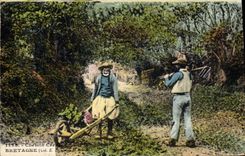 Vintage Postcard Carts Brittany Folklore