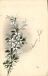 CPA Fantaisie Fleurs (dessin a la main) 