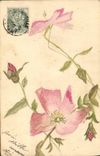 CPA Fantaisie Fleurs (dessin a la main) 