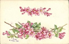 CPA Fantaisie Fleurs (dessin a la main) 