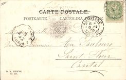 CPA Fantaisie Bonne annee 