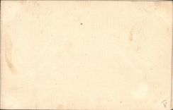 CPA Fantaisie Toilee 