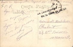 Vintage Postcard Lyon the monumental grid of the Park of the gold Head