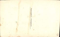 CPA Fantaisie (dessin a la main) Fleurs (sur toile)