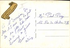 CPM Fantaisie Chiens (décor en relief)