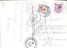 Modern Postcard Fantasy Chicks (decoration in relief)