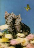 CPM Fantaisie Chats Chatons Papillon (décor en relief)