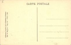 CPA Orgue Cathedrale d'Amiens Les stalles du choeur