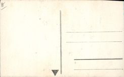 CPA Fantaisie (dessin a la main) Paysage Cygnes 