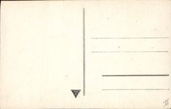 CPA Fantaisie (dessin a la main) Cygne