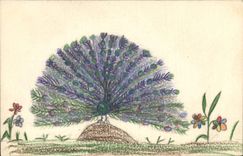 CPA Fantaisie (dessin a la main) Oiseau Paon