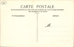 CPA Fantaisie (dessin a la main) Oiseaux Pingouins 