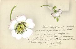 CPA Fantaisie (dessin a la main) Fleurs