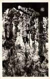 CPA Grotte Grottes Aven d'Orgnac Les grandes stalagmites vues du cone d'eboulis