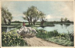 Vintage Postcard Fantasy Sheep