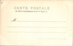 Vintage Postcard Cave Caves the water tower Swans This