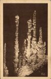 CPA Grotte Grottes L'Aven Armand Dans la foret vierge Les cypres