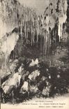 Vintage Postcard Cave Caves Thor Cave of Thouzon Large gallery of wild boar