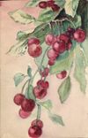 CPA Fantaisie (dessin a la main) Fruits 