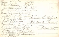 Vintage Postcard Fantasy Child wife Hen Chicks