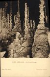 CPA Grotte Grottes L'Aven Armand La Foret vierge