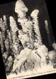 CPA Grotte Grottes L'Aven Armand Dans la foret vierge Les choux fleurs