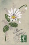 CPA Carte transparente Fleurs 