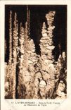 CPA Grotte Grottes L'Aven Armand Dans la foret vierge La machoire du tigre