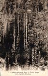CPA Grotte Grottes L'Aven Armand dans la foret vierge Les aiguilles geantes