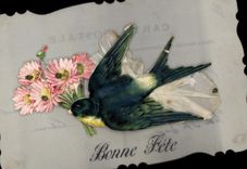Vintage Postcard Fantasy transparent Chart Flowers Swallow