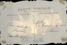 Vintage Postcard Fantasy transparent Chart Flowers Swallow