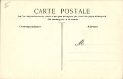 CPA Fantaisie Oiseaux (dessin a la main) 