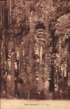 Vintage Postcard Caves Swallow-hole Armand Cypresses