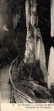 CPA Grottes de Betharram Colonnes en formation