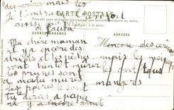 CPA Militaria Capitaine de chasseurs alpins Drapeau