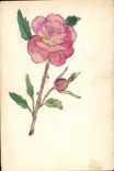 CPA Fantaisie (dessin a la main) Fleurs 