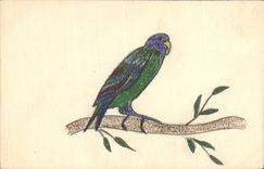 CPA Fantaisie (dessin a la main) Oiseau 