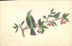 CPA Fantaisie (dessin a la main) Oiseau 