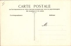 CPA Fantaisie (dessin a la main) Oiseaux 