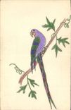 CPA Fantaisie (dessin a la main) Oiseau Perruche Perroquet 