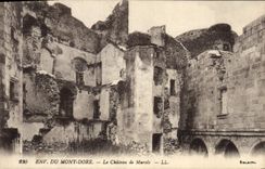 Vintage Postcard Chateau of Murols Environs of the Mount Gilds