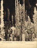 CPA Grottes Aven Armand La foret vierge 