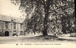 Vintage Postcard Bayeux the tree of freedom and courts