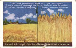 Vintage Postcard Publicity Holy Superphosphate Gobain