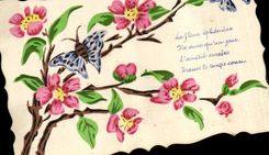 Vintage Postcard Fantasy Flowers Butterflies (drawing has the hand)