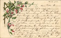 CPA Fantaisie (dessin a la main) Fleurs 